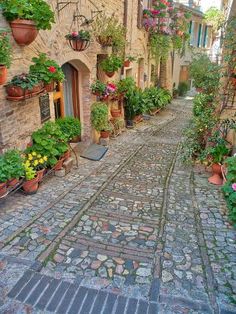 a cobblestone street with potted plants and flowers on the buildings along it