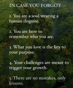 Inspirational Mantras, Believe In Yourself Quotes, A Course In Miracles, Manifesting Abundance, Awakening Quotes, Remember Who You Are, Mgmt, Life Purpose, Wise Quotes