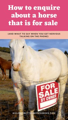 a white horse standing next to a fence with a for sale sign in front of it