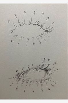 a drawing of an eye with dandelions coming out of it's lashes