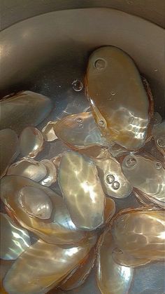 a pot filled with lots of clams in water