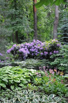 a lush green forest filled with lots of purple flowers