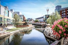 a river running through a city with tall buildings on both sides and pink flowers in the foreground