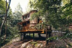 a tree house in the woods surrounded by trees