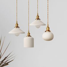 three white and gold hanging lights with plants in the foreground on a light grey background