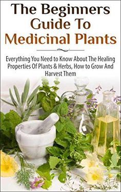 FREE TODAY The Beginners Guide to Medicinal Plants: Everything You Need to Know About the Healing Properties of Plants & Herbs, How to Grow and Harvest Them (Medicinal ... Wild Plants, Healing Properties, Medicinal) - Kindle edition by Lindsey P. Professional & Technical Kindle eBooks @ Amazon.com. Medicinal Wild Plants, Magia Das Ervas, Herbal Apothecary, Healing Plants, Herbal Healing, Herbs For Health, Wild Plants, Healing Herbs, Natural Health Remedies