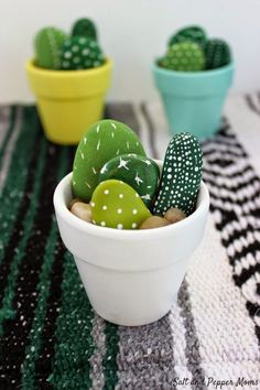 three small green and white cactus plants sitting in bowls on a striped tablecloth with black and white stripes