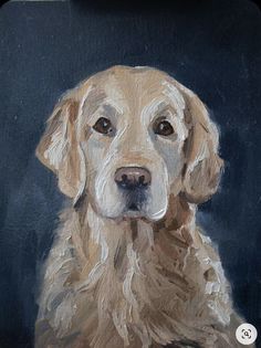 a painting of a golden retriever dog