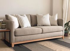 a living room with a couch, coffee table and potted plant