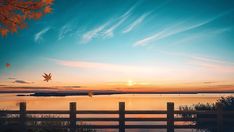 a bird flying in the air over a body of water at sunset with trees and clouds