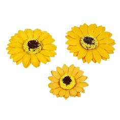 three yellow flowers with black centers are shown on a white background and one is in the shape of a sunflower