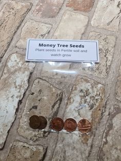 three different types of coins sitting on top of a stone floor next to a sign that says money tree seeds