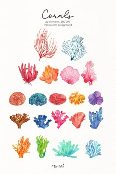 watercolor seaweed and corals are featured in the book's cover page