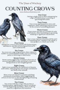 the four types of crows are shown in this poster, which includes information about them