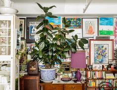 a living room filled with furniture and lots of plants