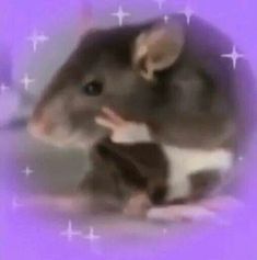 a small mouse sitting on top of a purple floor next to a white star filled wall