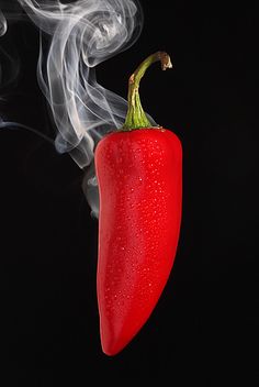 . Hottest Chili Pepper, Hot Pepper, Chilli Pepper, Red Hot Chili Peppers, Red Chilli, Red Chili, Hot Chili, Fruit And Veg