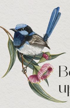 a blue and white bird sitting on top of a flower next to the words bough university