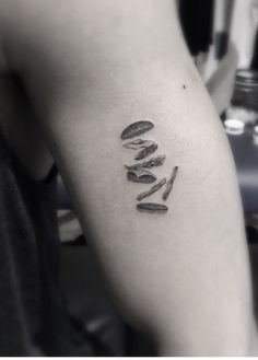 a black and white photo with the word love written on it's arm in cursive font