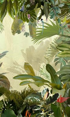 an image of tropical plants and birds in the air