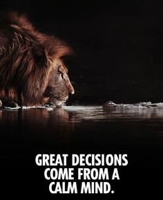 a lion drinking water with the caption great decision come from a calm mind