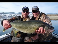 two men holding up a large fish on a boat