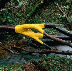 a pair of yellow gloves sitting on top of a fallen tree