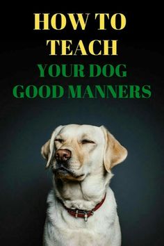 a dog with its eyes closed and the words how to teach your dog good manners