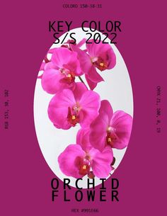 a poster with pink orchids on it for the key color s / s 2012