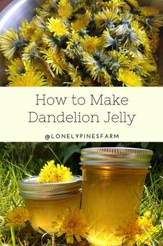 two jars filled with dandelion jelly sitting in the grass