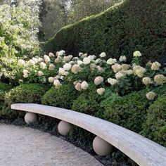 a wooden bench sitting in front of a lush green hedge covered hillside with white flowers