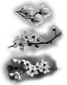 black and white photograph of branch with flowers