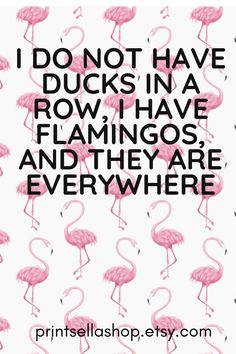 pink flamingos with the words i do not have ducks in a row have flamingos and they are everywhere