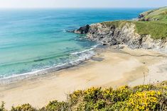 the beach is next to some cliffs by the water and yellow flowers in the foreground