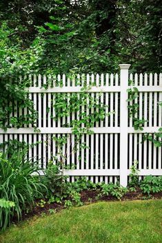 a white fence surrounded by lush green trees