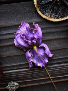 The purple Iris made of polymer clay. It decorated by natural amber. This is a great brooch for those who love flowers and stand out from the crowd. Iris is a genus of 260-300 species of flowering plants with showy flowers. It takes its name from the Greek word for a rainbow, which is also the name for the Greek goddess of the rainbow, Iris. Some authors state that the name refers to the wide variety of flower colors found among the many species. As well as being the scientific name, iris is als Iris Jewelry, Flower Polymer Clay, Iris Art, Brooch Flower, Iris Flower, Purple Iris, Polymer Jewelry, Mermaid Necklace, Natural Amber