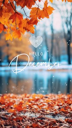 an autumn scene with leaves and the words hello december