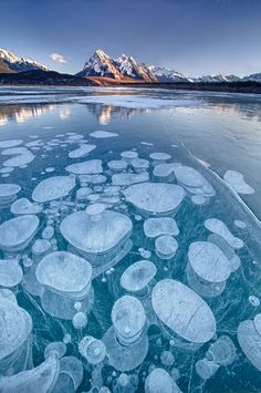 an image of ice floes floating in the water with mountains in the back ground