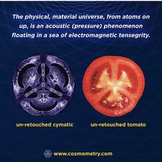 an image of two different types of tomatos with caption that reads, the physical, material universes, from atoms to up, is an acoustic pressure