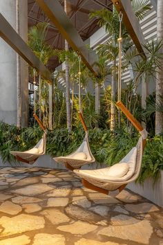 three hammocks hanging from the ceiling in an indoor area with palm trees and greenery