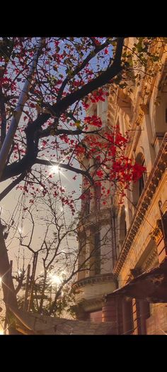 the sun shines brightly in front of an old building with red flowers on it