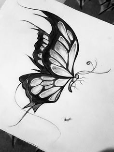 New butterfly 🦋 sketch. Drawing Ideas Butterfly, Bird Drawing Ideas, Butterfly Drawing Outline, Sketch Butterfly, Birds Drawing, Drawing Ideas Creative, Fly Drawing, Butterfly Art Drawing, Butterfly Sketch