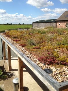 a green roof with rocks and plants growing on it in front of a barn building