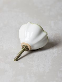 a white shell with a screw sticking out of it