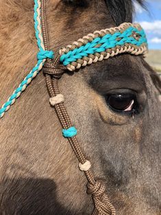 a brown horse with blue braids on its head