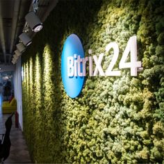 a green wall with the words bitx24 on it