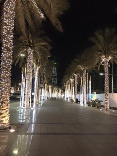 palm trees are lined up along the sidewalk in front of tall buildings at night with lights on them