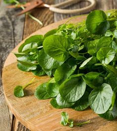 some green leaves are laying on a cutting board