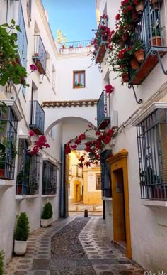 an alley way with potted plants and flowers on the balconies