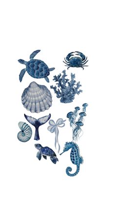 various sea animals and shells on a white background